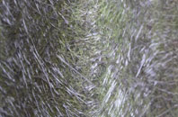 Elworth fibreglass roof work