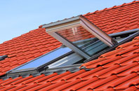 Elworth roof window